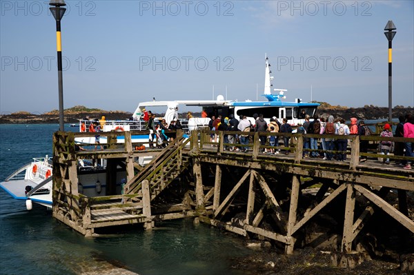 Iles Chausey, Manche