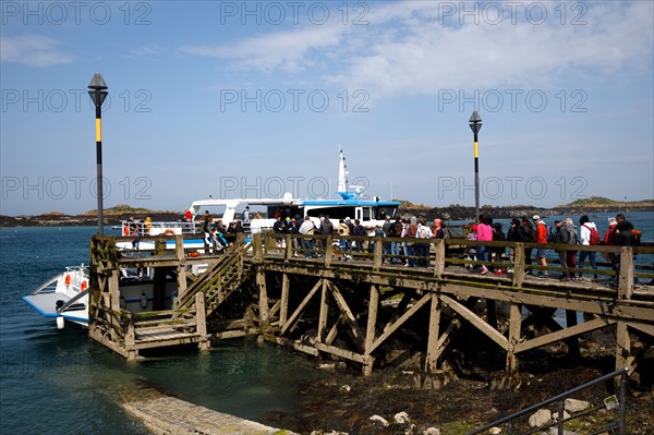 Iles Chausey, Manche