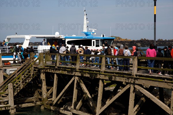 Iles Chausey, Manche