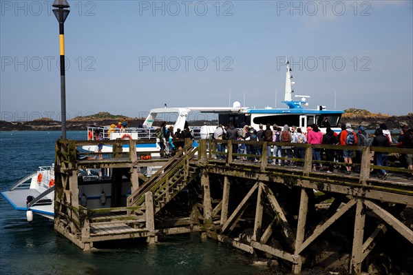 Iles Chausey, Manche