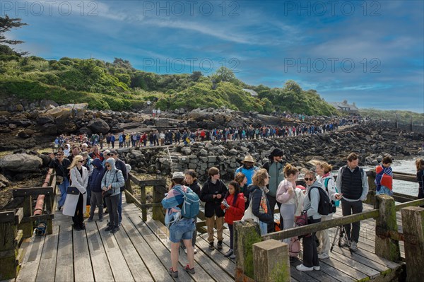 Iles Chausey, Manche