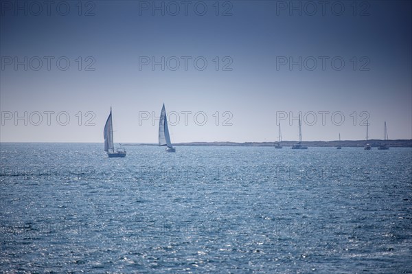 Bay of Mont-Saint-Michel, Manche