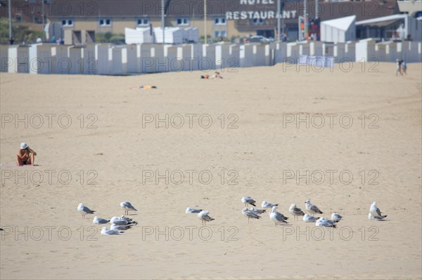 Calais, Pas de Calais