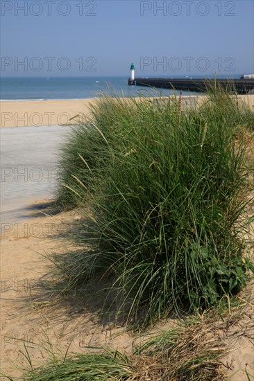 Calais, Pas de Calais