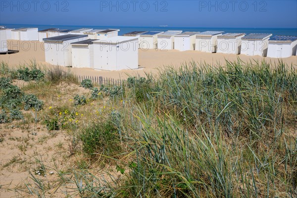Calais, Pas de Calais