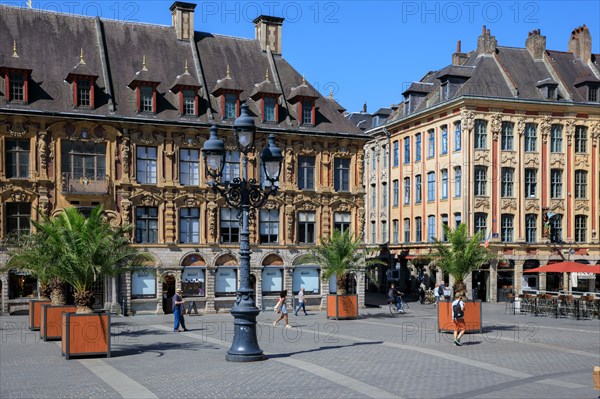 Lille, Nord