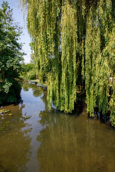 Amiens, Somme department