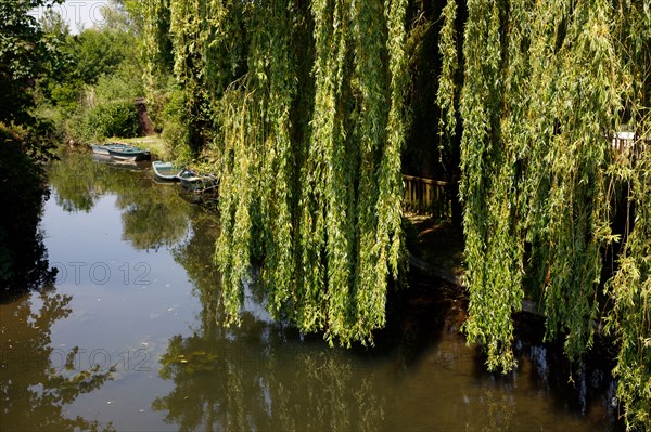 Amiens, Somme department