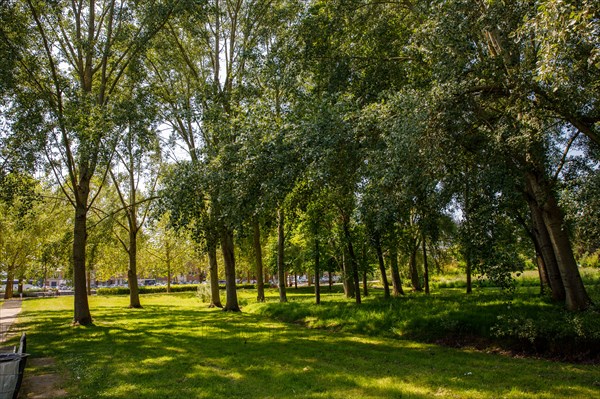 Amiens, Somme department