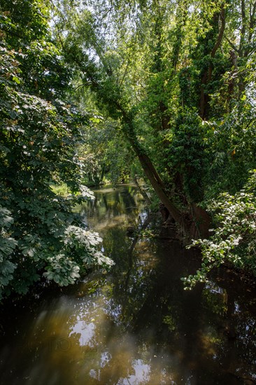 Amiens, Somme department