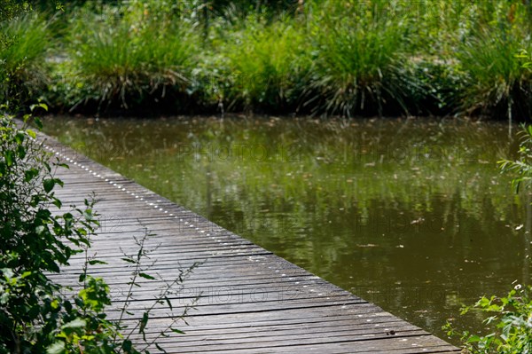 Amiens, Somme