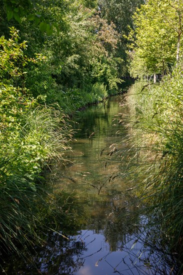 Amiens, Somme