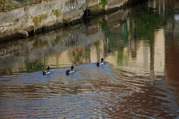 Amiens, Somme department