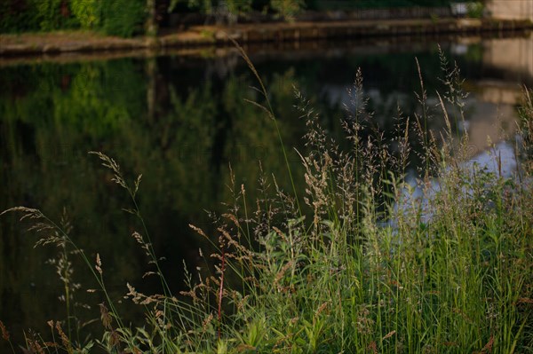 Amiens, Somme department