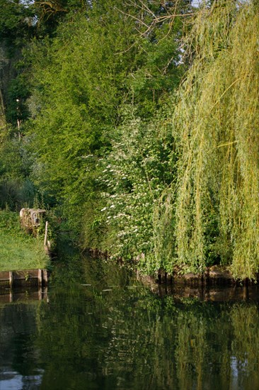 Amiens, Somme department