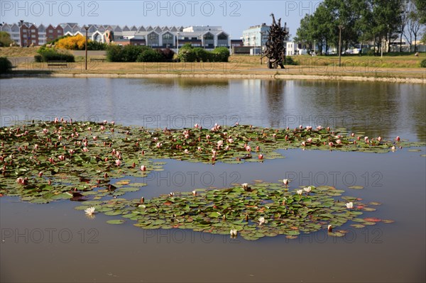 Dunkirk, Nord department