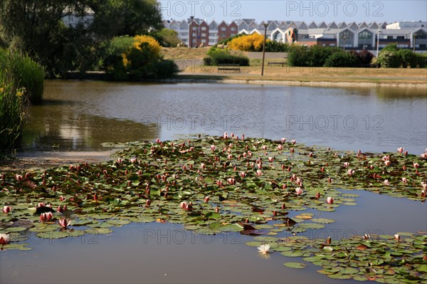 Dunkirk, Nord department