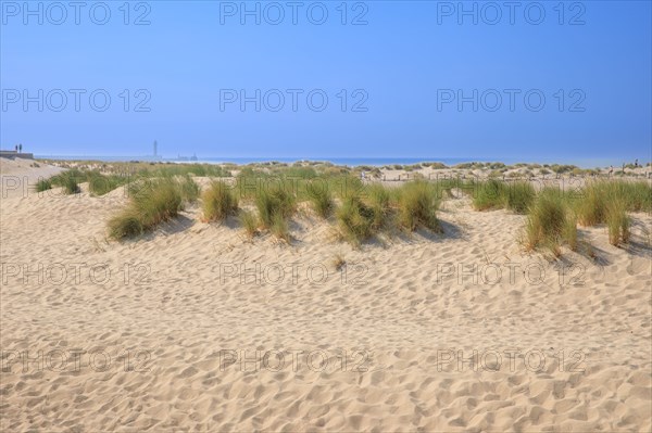 Dunkerque, Malo-les-Bains, Nord