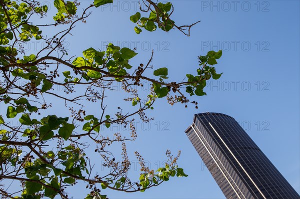 Tour Montparnasse, Paris