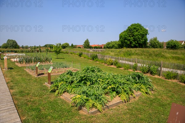 Saint-Omer, Hauts-de-France