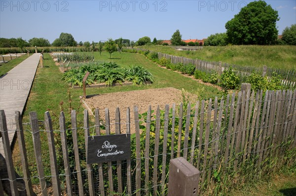 Saint-Omer, Hauts-de-France