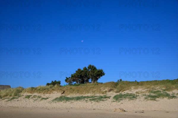 Réville, Manche