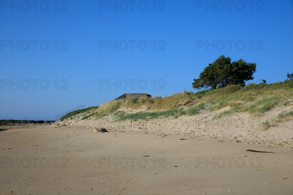 Réville, Manche