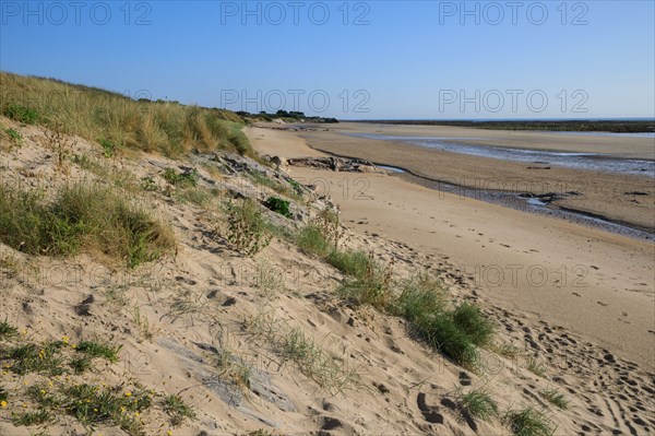 Réville, Manche