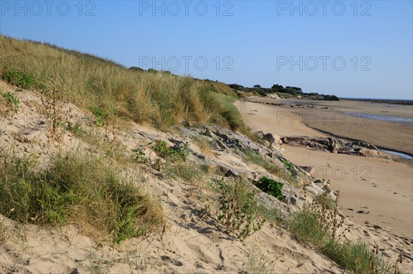 Réville, Manche