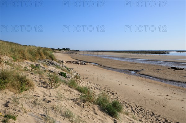 Réville, Manche