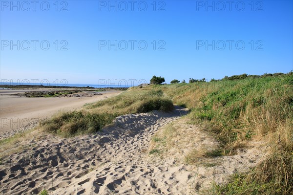 Réville, Manche