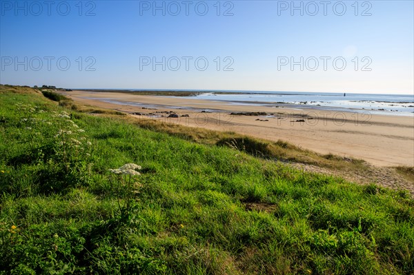 Réville, Manche