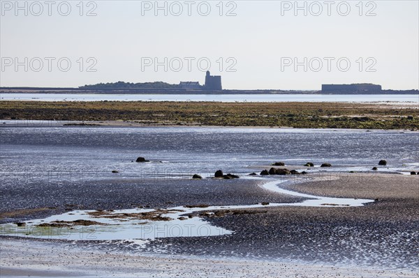 Saint-Vaast-la-Hougue, Manche