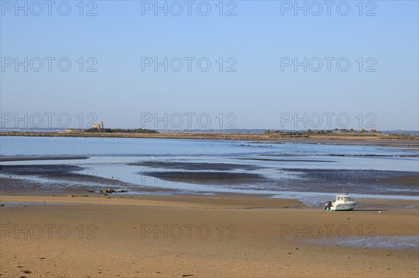 Réville, Manche