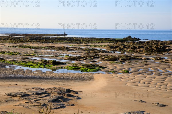 Réville, Manche