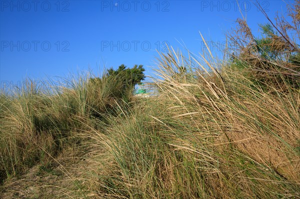 Réville, Manche