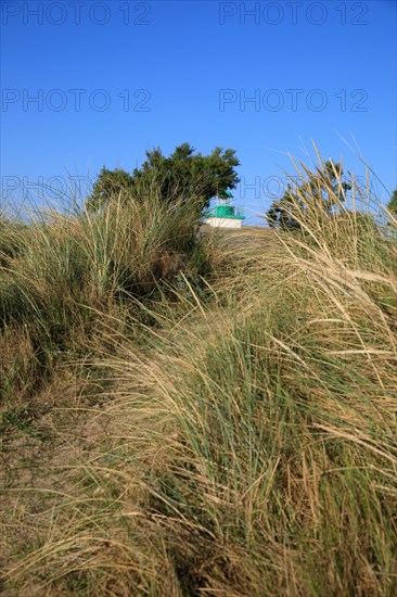 Réville, Manche department