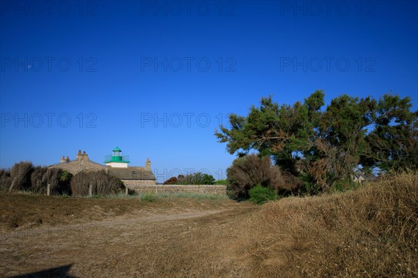 Réville, Manche