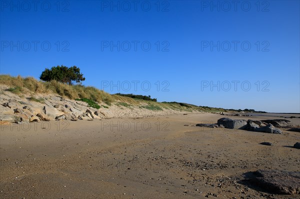 Réville, Manche department