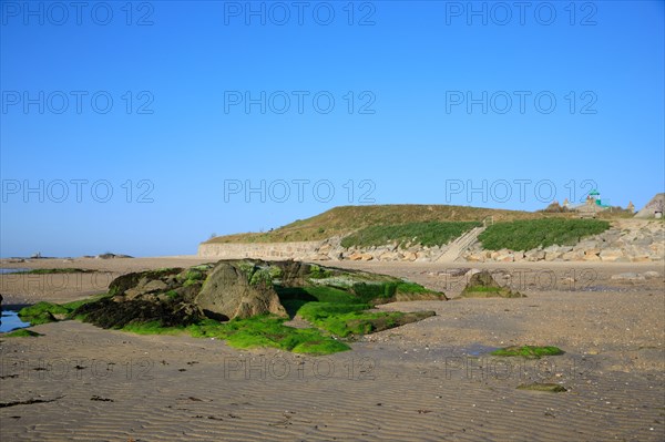 Réville, Manche