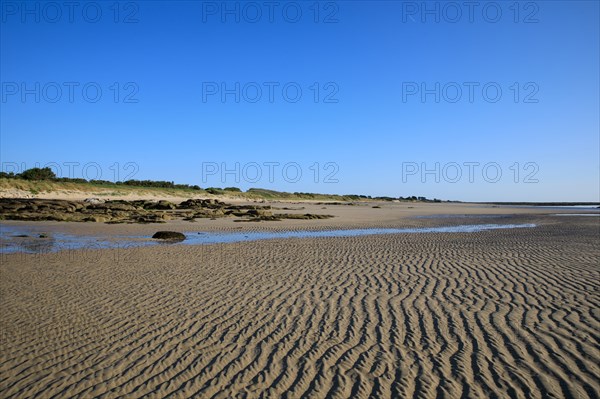 Réville, Manche