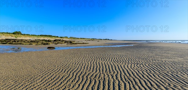 Réville, Manche