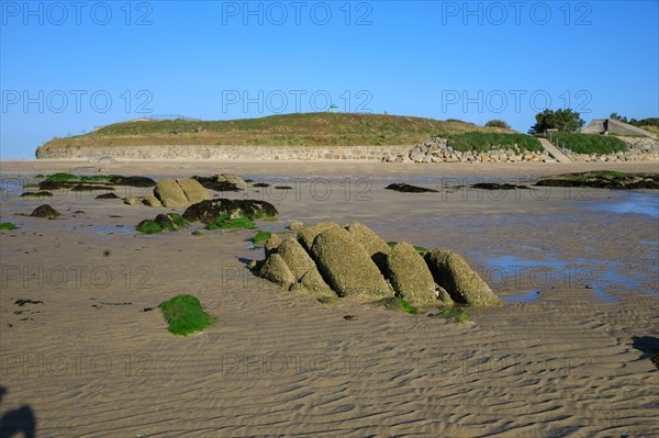 Réville, Manche department