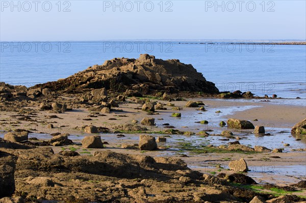 Réville, Manche