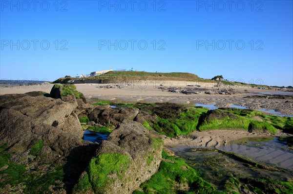 Réville, Manche