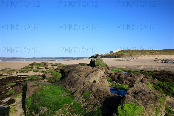 Réville, Manche