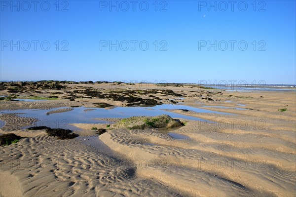 Réville, Manche