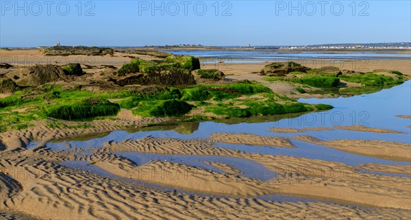 Réville, Manche department