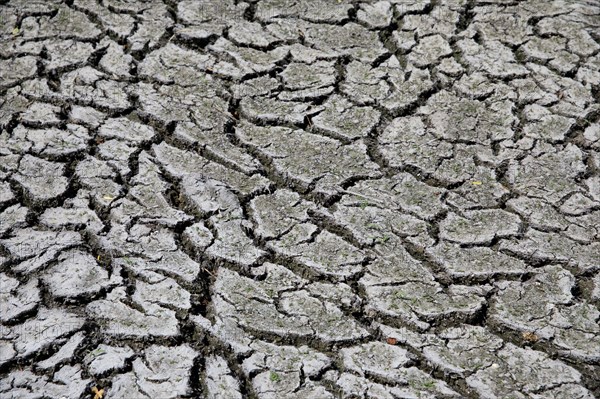 Dry cracked earth