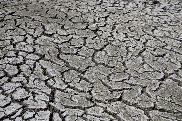 Terre sèche, Saint-Omer, Pas-de-Calais